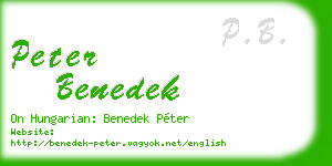 peter benedek business card