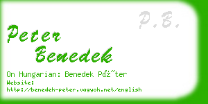 peter benedek business card